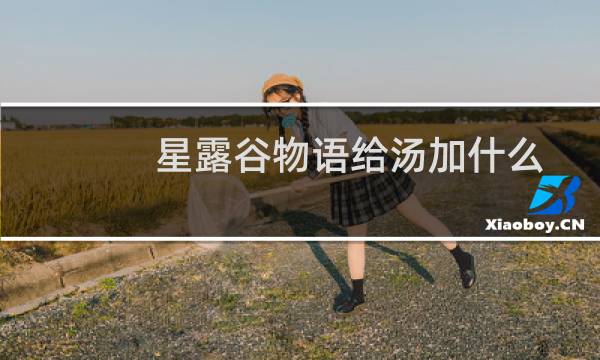 星露谷物语给汤加什么