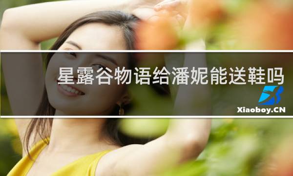 星露谷物语给潘妮能送鞋吗