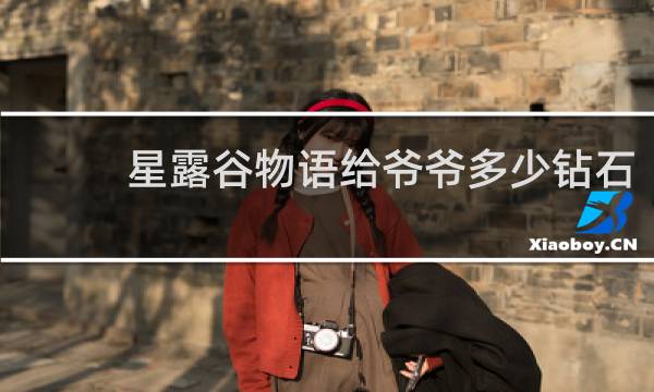 星露谷物语给爷爷多少钻石