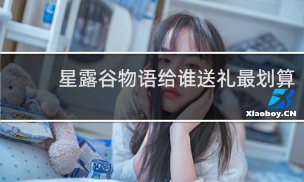 星露谷物语给谁送礼最划算