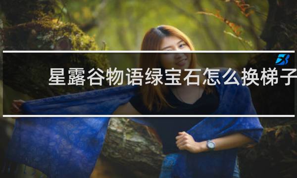 星露谷物语绿宝石怎么换梯子
