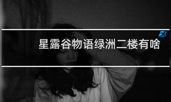 星露谷物语绿洲二楼有啥