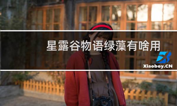 星露谷物语绿藻有啥用