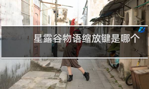 星露谷物语缩放键是哪个