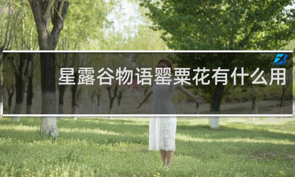 星露谷物语罂粟花有什么用