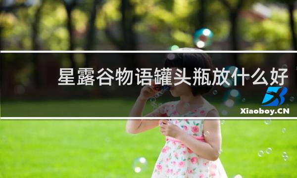 星露谷物语罐头瓶放什么好