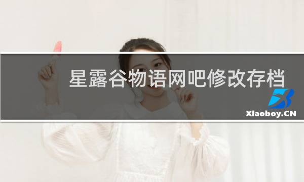 星露谷物语网吧修改存档