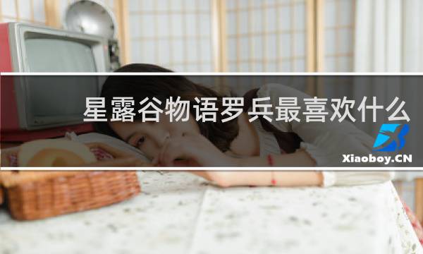 星露谷物语罗兵最喜欢什么