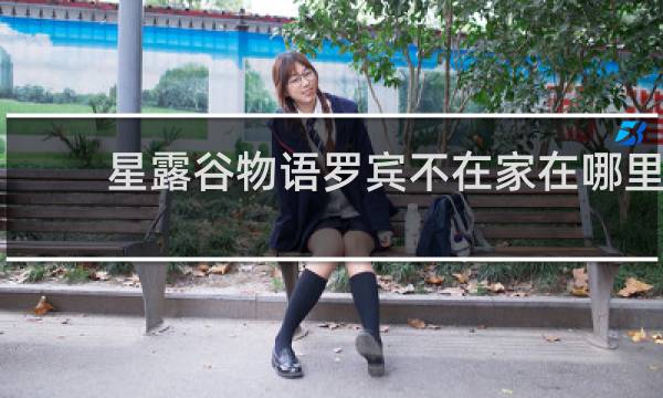 星露谷物语罗宾不在家在哪里