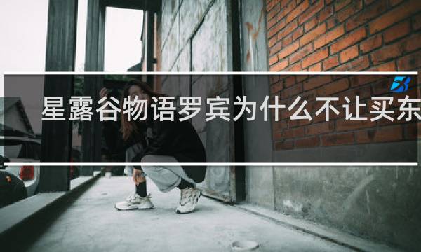 星露谷物语罗宾为什么不让买东西
