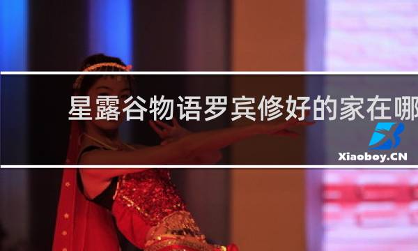 星露谷物语罗宾修好的家在哪