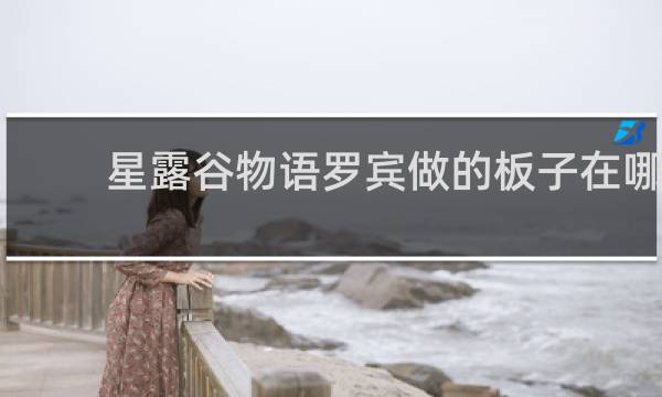 星露谷物语罗宾做的板子在哪