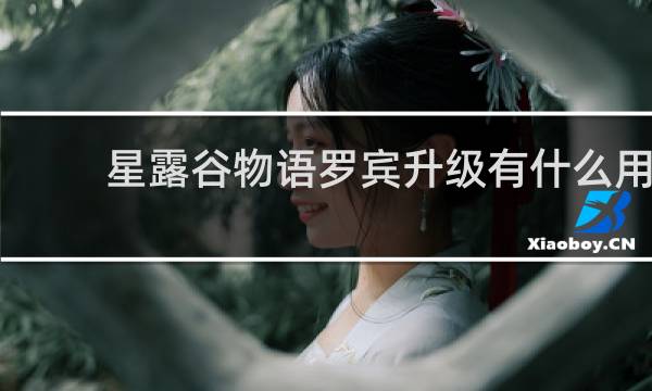 星露谷物语罗宾升级有什么用