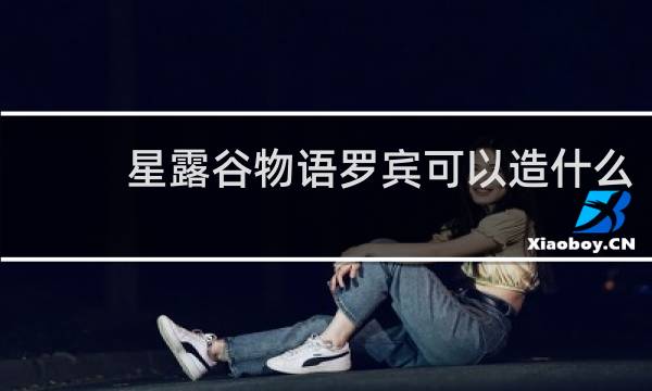 星露谷物语罗宾可以造什么