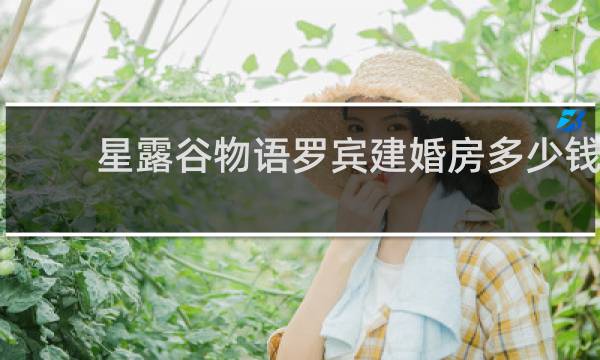 星露谷物语罗宾建婚房多少钱