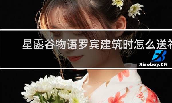 星露谷物语罗宾建筑时怎么送礼