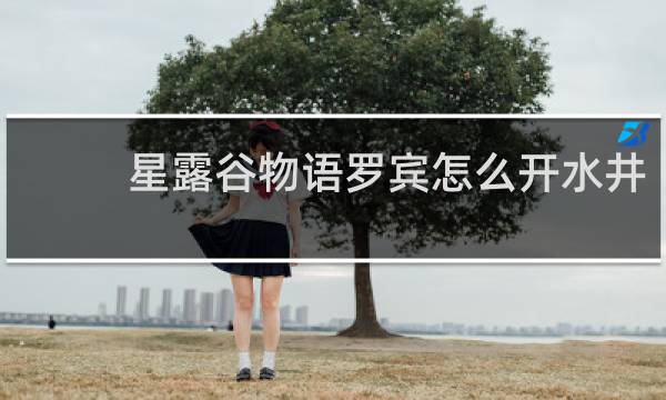 星露谷物语罗宾怎么开水井