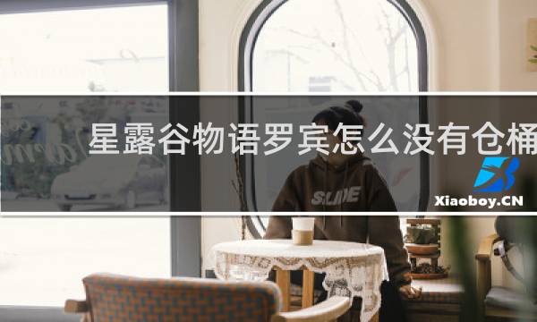 星露谷物语罗宾怎么没有仓桶