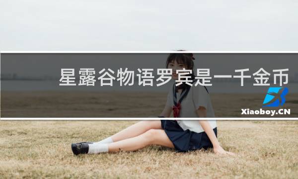 星露谷物语罗宾是一千金币