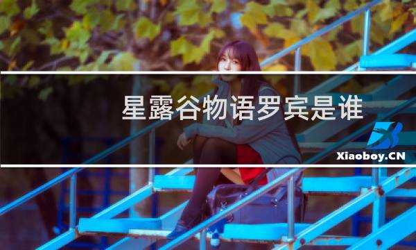星露谷物语罗宾是谁