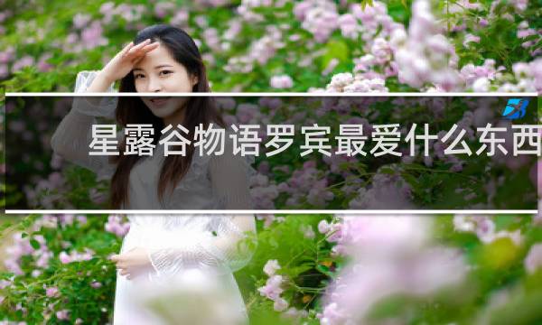 星露谷物语罗宾最爱什么东西