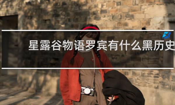 星露谷物语罗宾有什么黑历史