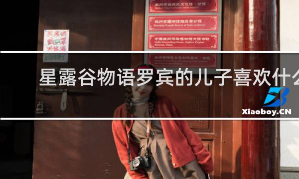 星露谷物语罗宾的儿子喜欢什么