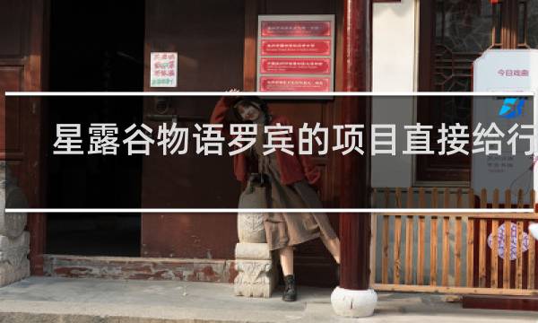 星露谷物语罗宾的项目直接给行吗