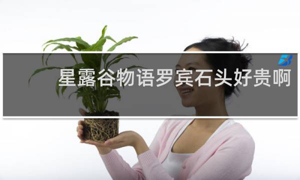星露谷物语罗宾石头好贵啊