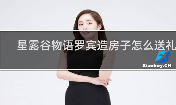星露谷物语罗宾造房子怎么送礼物