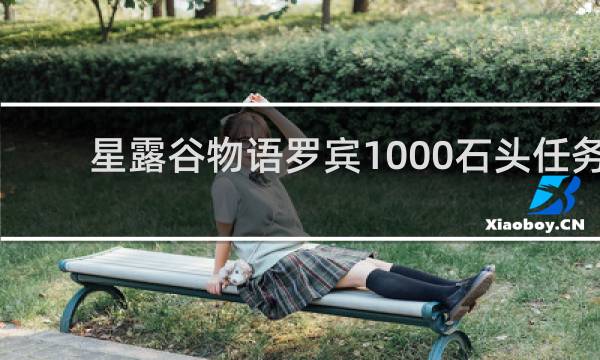 星露谷物语罗宾1000石头任务