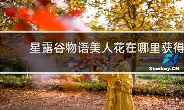 星露谷物语美人花在哪里获得