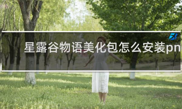 星露谷物语美化包怎么安装png