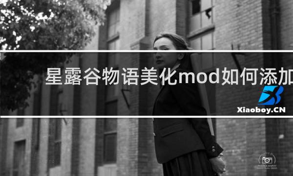 星露谷物语美化mod如何添加