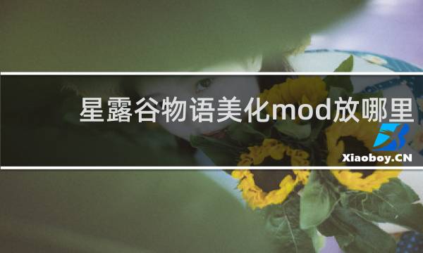 星露谷物语美化mod放哪里