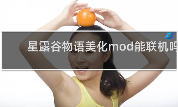星露谷物语美化mod能联机吗