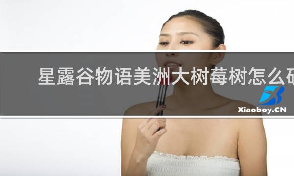 星露谷物语美洲大树莓树怎么砍