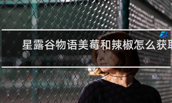 星露谷物语美莓和辣椒怎么获取