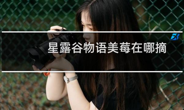 星露谷物语美莓在哪摘