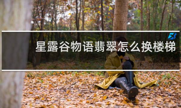 星露谷物语翡翠怎么换楼梯