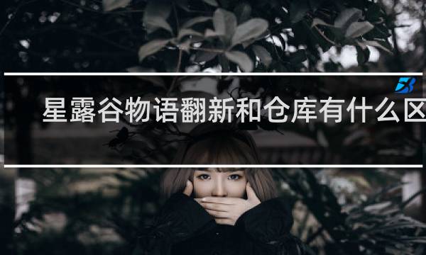 星露谷物语翻新和仓库有什么区别