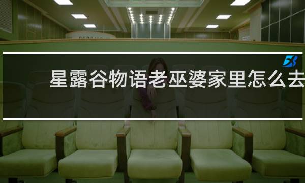 星露谷物语老巫婆家里怎么去