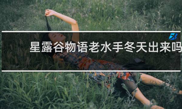 星露谷物语老水手冬天出来吗