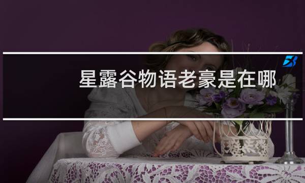 星露谷物语老豪是在哪