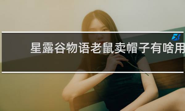 星露谷物语老鼠卖帽子有啥用