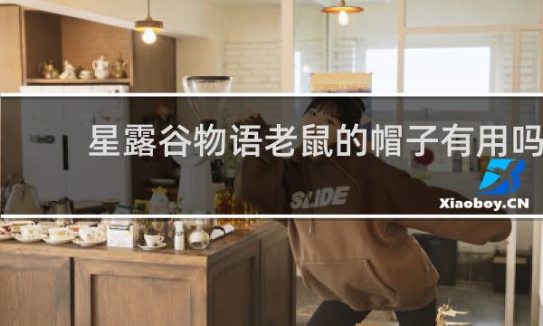 星露谷物语老鼠的帽子有用吗