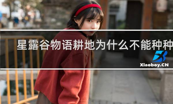 星露谷物语耕地为什么不能种种子