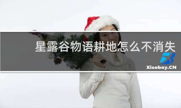 星露谷物语耕地怎么不消失