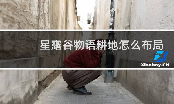星露谷物语耕地怎么布局