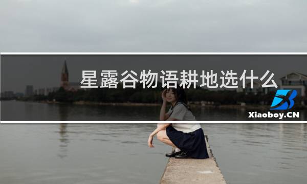 星露谷物语耕地选什么